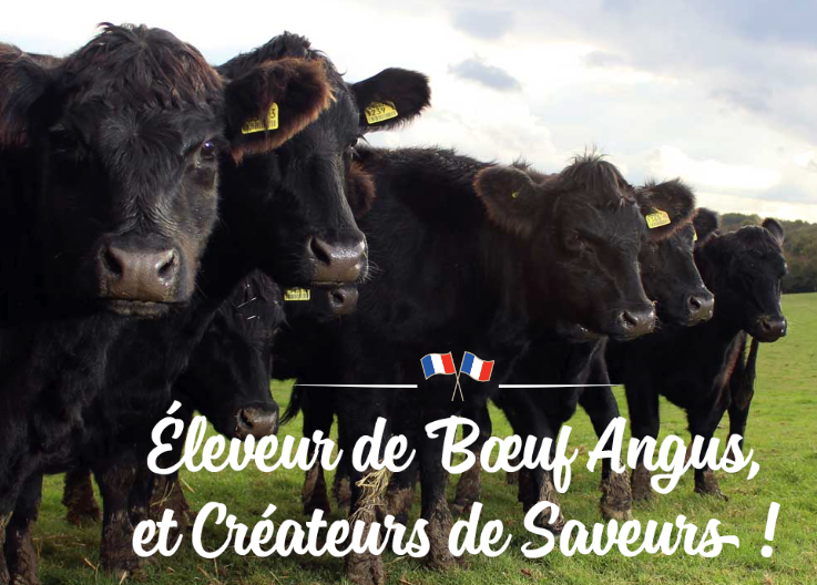 Des Hommes et des Bœufs
