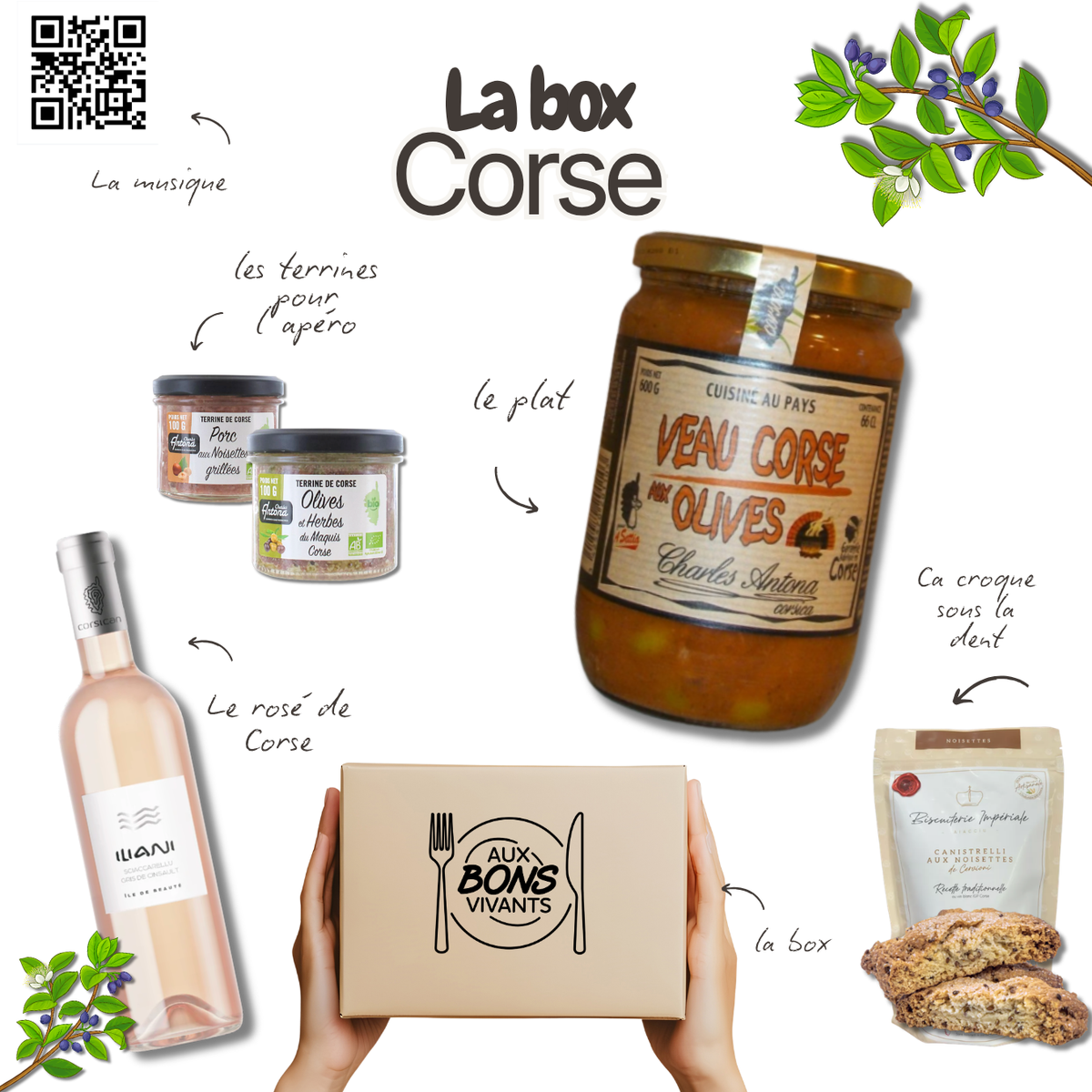 Box Corse